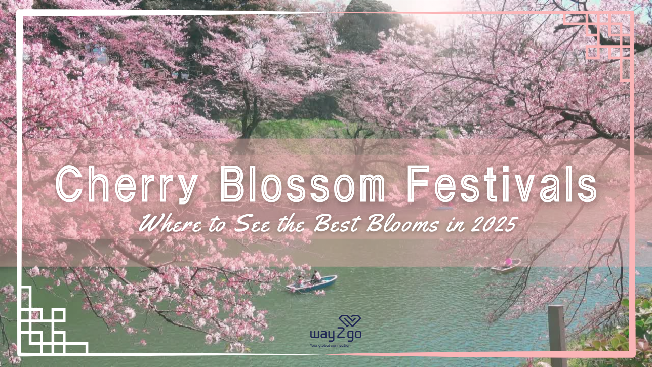 Cherry Blossom Festivals - Where to See the Best Blooms in 2025