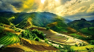 Things To Know Before Going To Vietnam For International Tourist