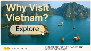 Why visit Vietnam? Explore the culture, nature, and unique experiences