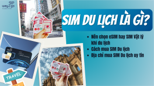 SIM Du Lịch là gì? Nên chọn eSIM hay SIM Vật lý khi du lịch