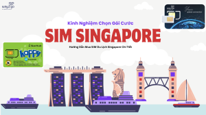Kinh Nghiệm Chọn Gói Cước SIM Singapore Và Hướng Dẫn Mua SIM Chi Tiết