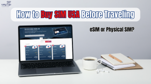 How to Buy SIM USA Before Traveling? eSIM or Physical SIM?