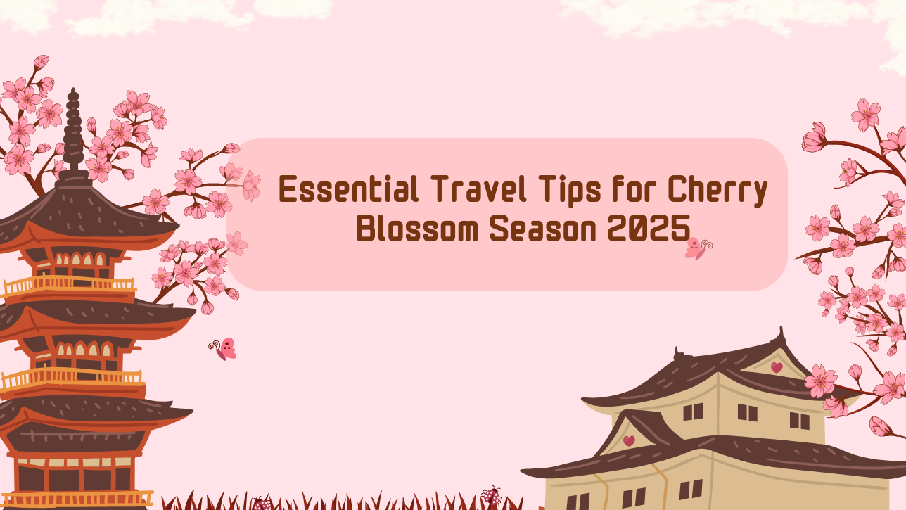 Essential Travel Tips for Cherry Blossom Season 2025