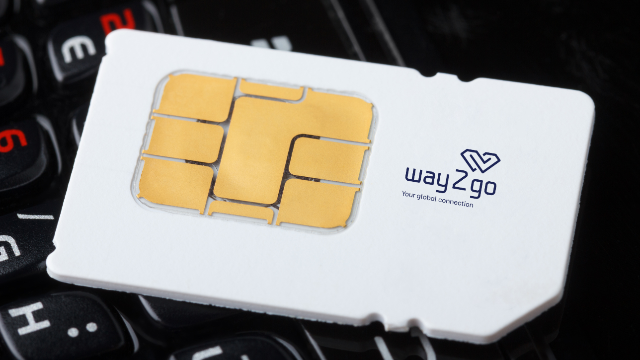 SIM Singapore: Lựa chọn eSIM hay SIM Vật lý?